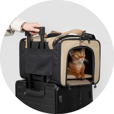 Catapet