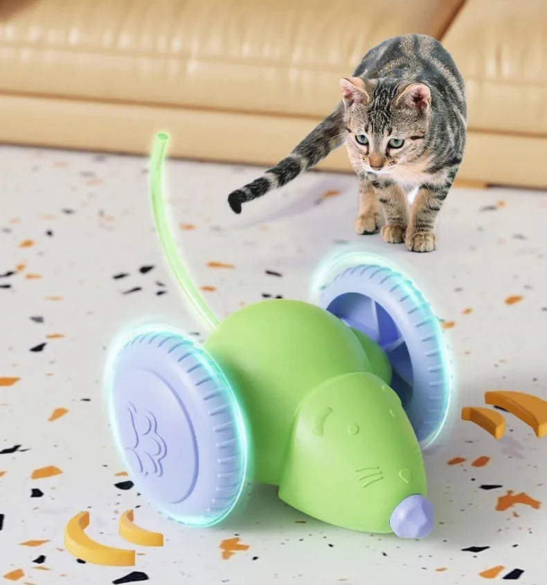 Whisker Rush Mouse Toy For Cat