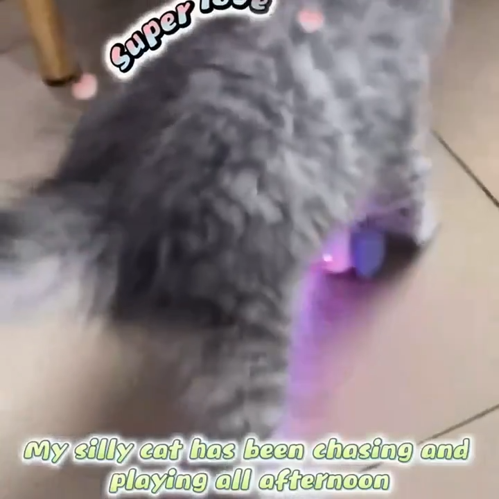 Whisker Rush Mouse Toy For Cat